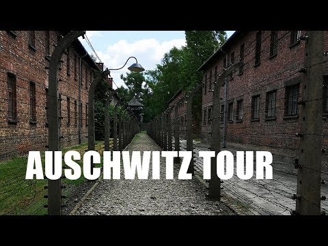 Video: Mikä On Auschwitz