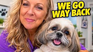 I've Known This Shih Tzu for Years 🥹