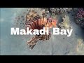 Schnorcheln Makadi Bay Hurghada Ägypten - TOP 5 Schnorchelhotspots in der Makadi Bay