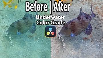 Davinci Resolve Underwater Color Grading Tutorial OC from GoPro Hero 9