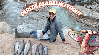 Derede Alabalik Avi Trout Fi̇shi̇ng Balik Çok Yem Yok Ikavı 