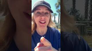 I saw a dolphin! 🐬 #stpete #florida #diml #dtsp #startingover