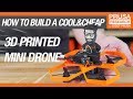 How to Build a Cool & Cheap 3D Printed Mini Drone