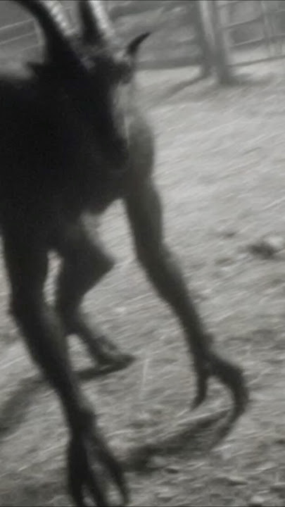 RARE Chupacabra Caught on CCTV Near Native Reservation