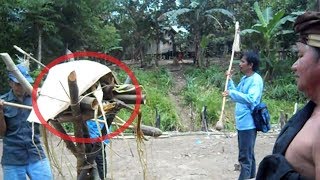 Kukurung dan Tarian Dayak Dalam Ritual Adat Menanam Padi Suku Dayak Samihim