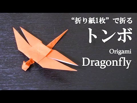 折り紙1枚 簡単 可愛い立体的な昆虫 トンボ の折り方 How To Make A Dragonfly With Origami It S Easy To Make Insect Youtube