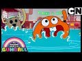 Gumball | Darwin Is A Swimming Sensation | The Club | Cartoon Network