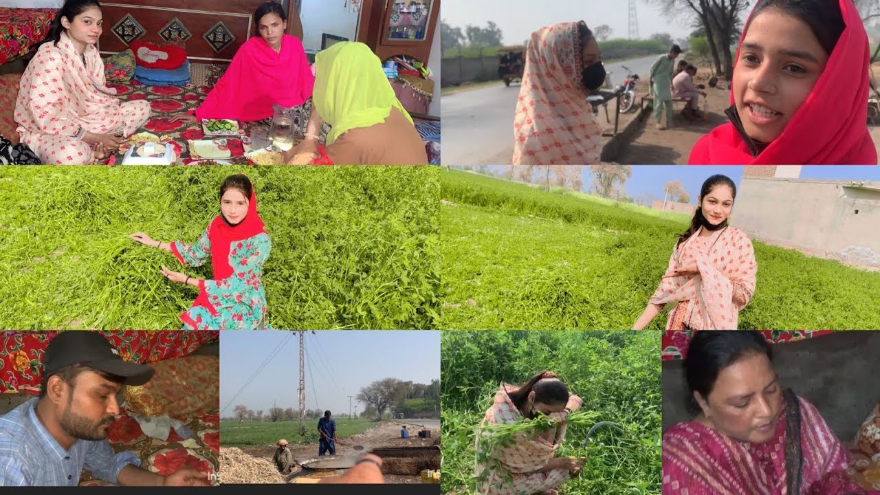 Aaj chachi meerab SA kheti badi kaarvayi 🤭#sonia Gopal 