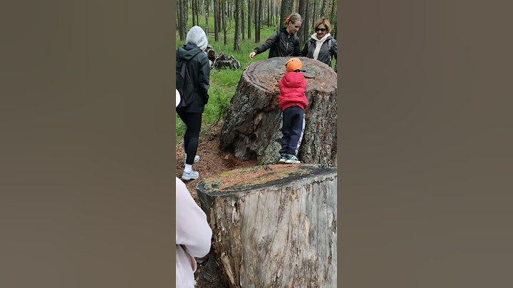 Вот это пень так пень!