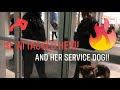 Man attacks my friends service dog!!