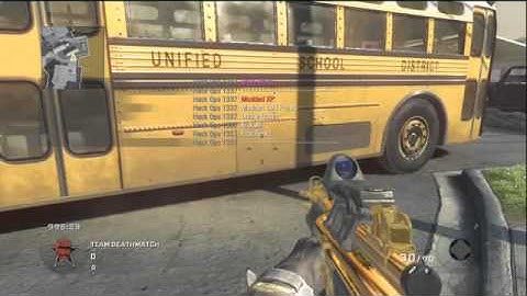 Black Ops-Mod Menu-Feat Teh1337