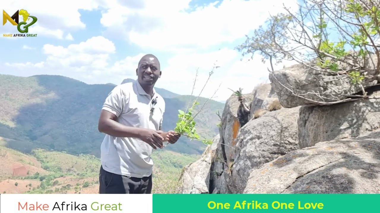 Walking the Footsteps of Ancestors: Nature Trails, Hills & Herbal Discoveries