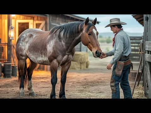 Cowboy Rescued Unloved Horse From Auction. Just Watch What The Horse Does Next!