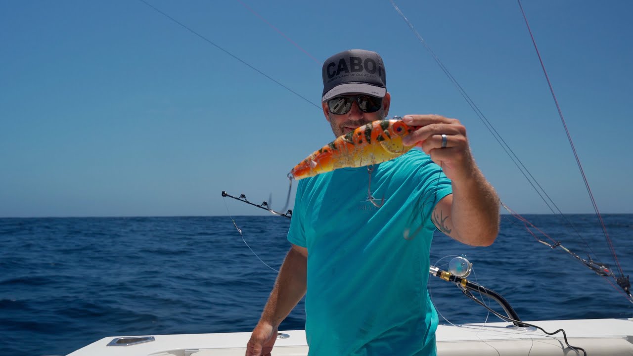 Marlin fishing in Cabo San Lucas