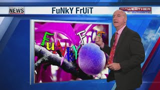 Funky Fruit Banana Face 2