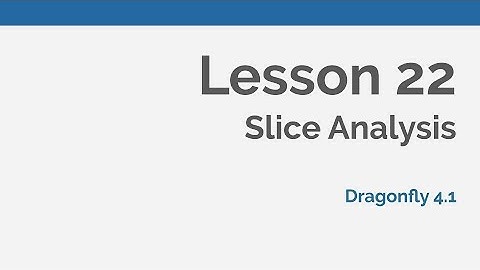 Dragonfly Daily 22 Slice Analysis with Dragonfly (2020)