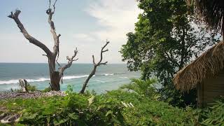 Rema - Soundgasm (Slowed+Reverb by SG)