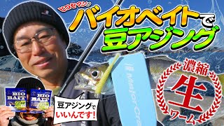 釣れすぎちゃっていいんです！「バイオベイトで豆アジング」【メジャークラフト】