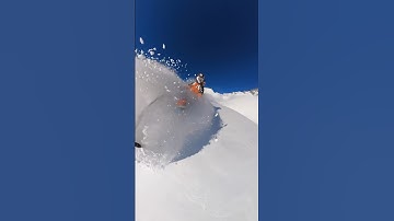 Blue bird 🙌 🎥 shot on @insta360 X3 #Insta360 #Insta360X3