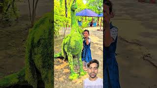 Peacock 🦚 Wooden Log Cabin in Forest 🎄🌟| Survival House Step by Step”