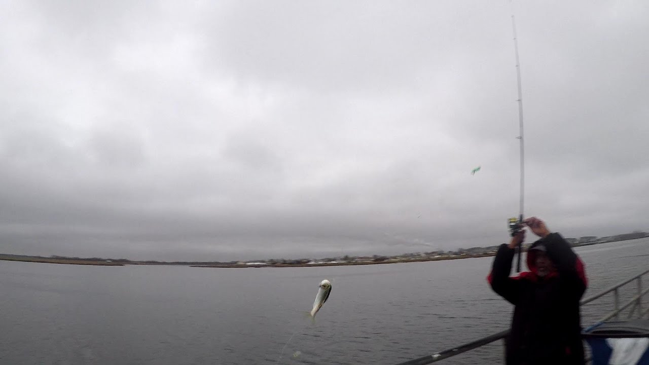 Magnolia Pier fishing 2023 YouTube