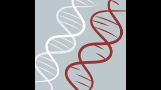 CBW’s Cancer Analysis workshop - 11: Multi-omic data integration