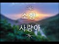 소향 사랑아