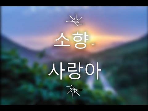 소향 - 사랑아