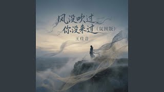 风没吹过你没来过 (氛围版)