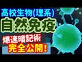 【高校生物 108】【自然免疫とToll様受容体TLR】を宇宙一わかりやすく