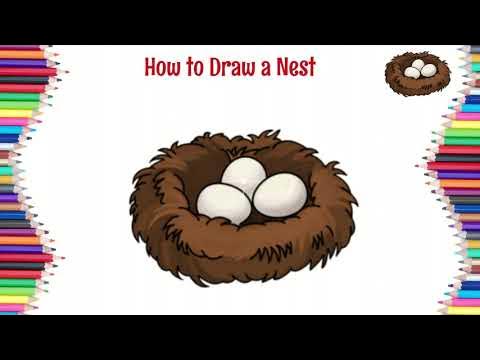 Nest картинка для детей на английском. Транскрипция nest на английском языке. Tent транскрипция. Nest на английском. Транскрипция nest на английском языке.