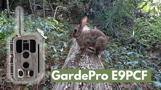 Surprise visitor captured with the GardePro E9PCF  Wi-Fi Trail Camera