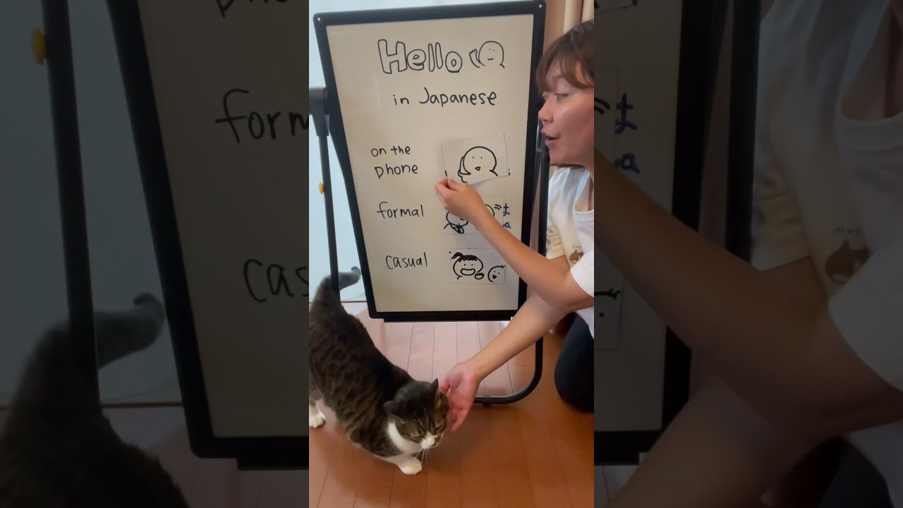 3 Ways To Say Hello In Japanese Japaneselesson Learnjapanese Japaneselanguage