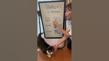 3 ways to say “hello” in Japanese 🤗#japaneselesson #learnjapanese #japaneselanguage