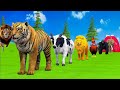 जंगल का सबसे ताकतवर जानवर कौन? 🐅🦁Tiger vs Lion vs Gorilla 😱 कौन जीतेगा?Animals Line Challenge 🐘 hai 