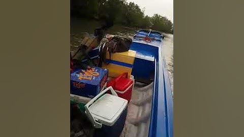 Anh em đi câu cá ở phước an