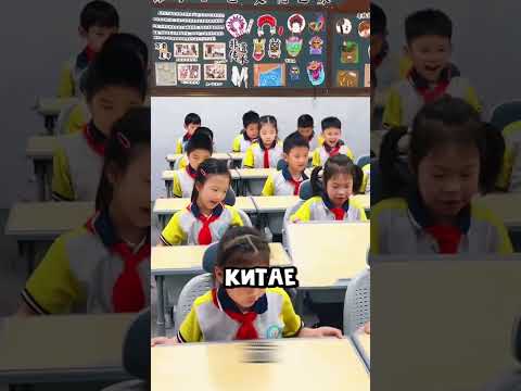 3 самых необычных школьных предметов в мире 😮