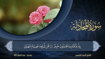 58   سورة المجادلة   الشيخ أحمد النفيس