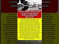 2 года на бетоне аэропорта Внуково! Легендарная история верности, растрогавшая миллионы 😭❤️