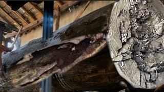 unexpected happened when sawing rare fiber wood at the Sawmill, it turned out... screenshot 4