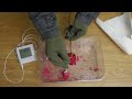 -196°C liquid nitrogen test for high heat fracture | Biigloo