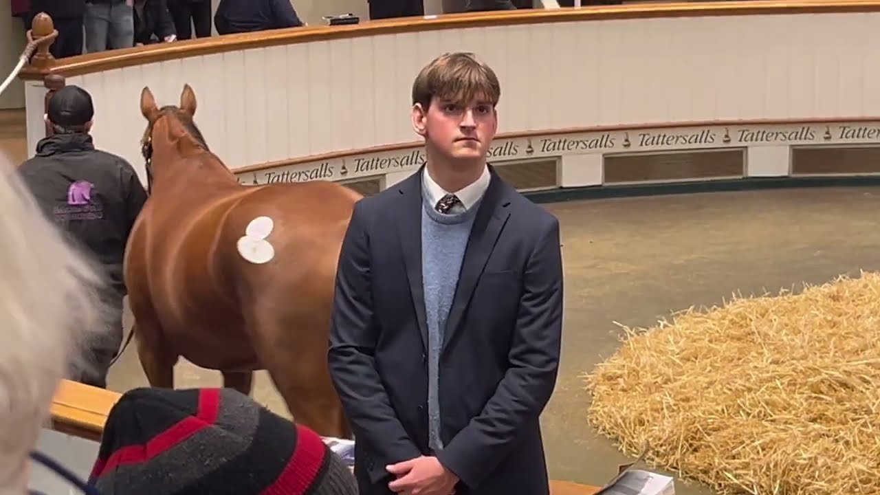 J'ai acheté 3 poulinières pleines à Newmarket (en rêve !)