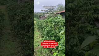 Kh Zainudin Mz zainudinmz zainudinmzceramah zainudinmzceramah shorts