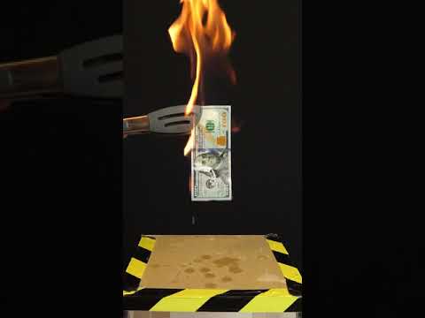 Burning Money For Science