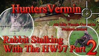 Air Rifle Hunting Rabbit Stalking With The HW97 Part 2