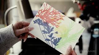 Mane - Carte De Voeux 2026