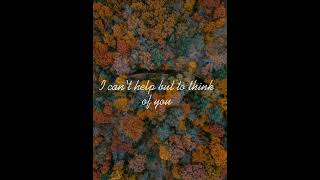 The Zeal- A silly song for you (Official video)