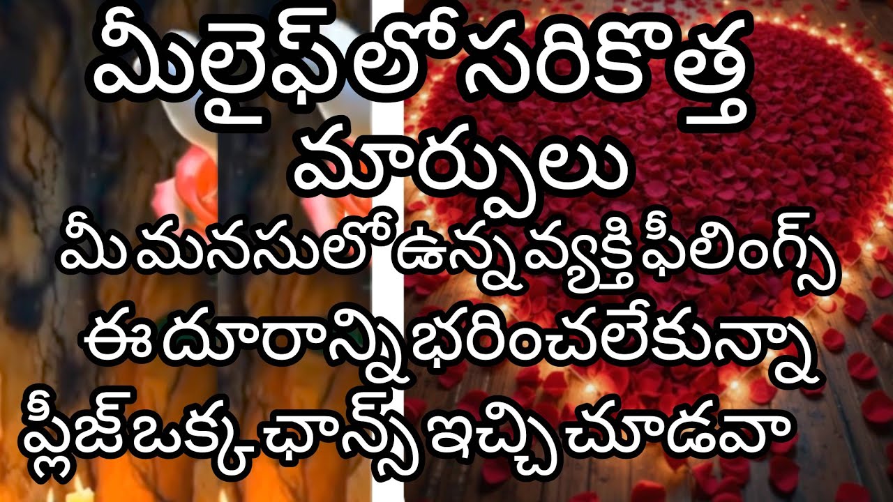 ♥️9666782559♥️మీమనసులో ఉన్నవ్యక్తి ఫీలింగ్స్ ఈ దూరాన్ని భరించలేకపోతున్నా😭ఒక్కఛాన్స్ ఇచ్చిచూడవా#taro#