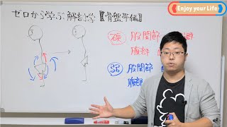 骨盤の歪みの原因とは？？わかりやすく解説してみた！