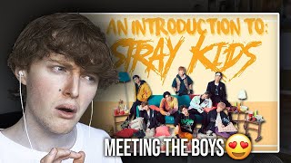 MEETING THE BOYS! (An Introduction to Stray Kids in 2020 | Reaction/Review)